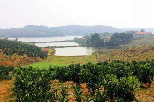 农场西南农庄爆料视频,农场爆料视频带你探秘田园生活 第2张 农场西南农庄爆料视频,农场爆料视频带你探秘田园生活 第2张