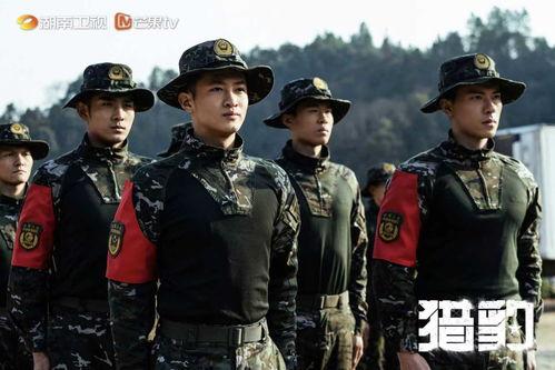 猎豹突击队电视剧全集在线观看